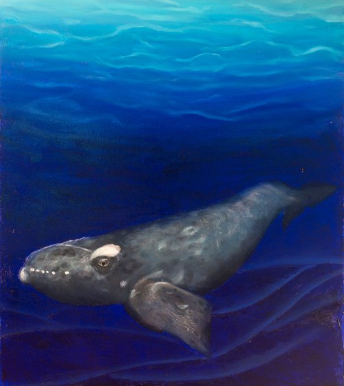 Right Whale by Rebeca Fuchs