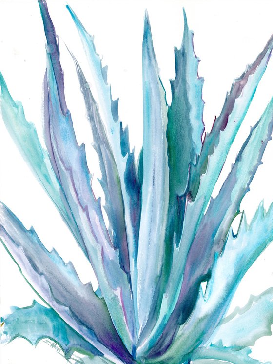 Agave