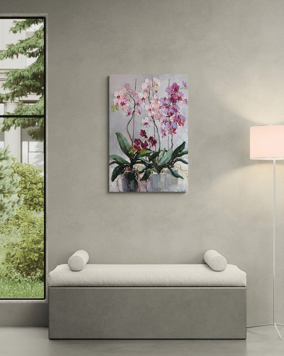 Blooming Orchids
