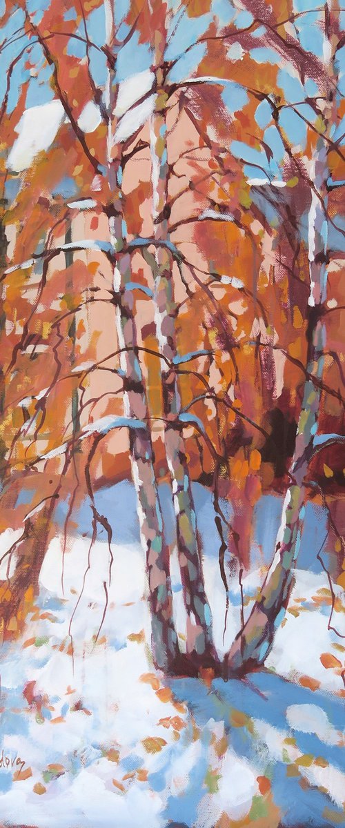 Autumnal Birch Trees by Diana Davydova