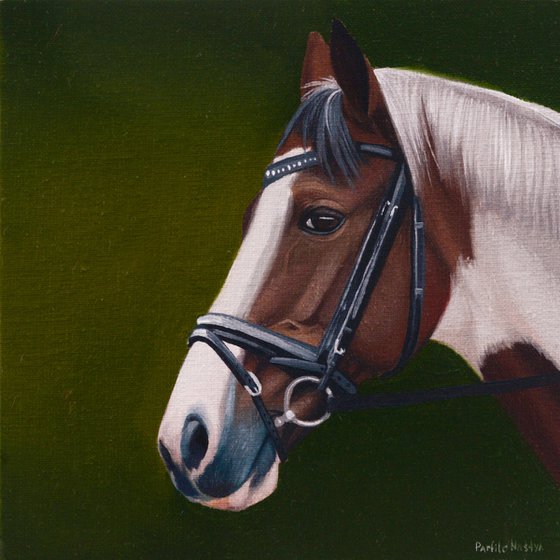 Horse Portrait 62