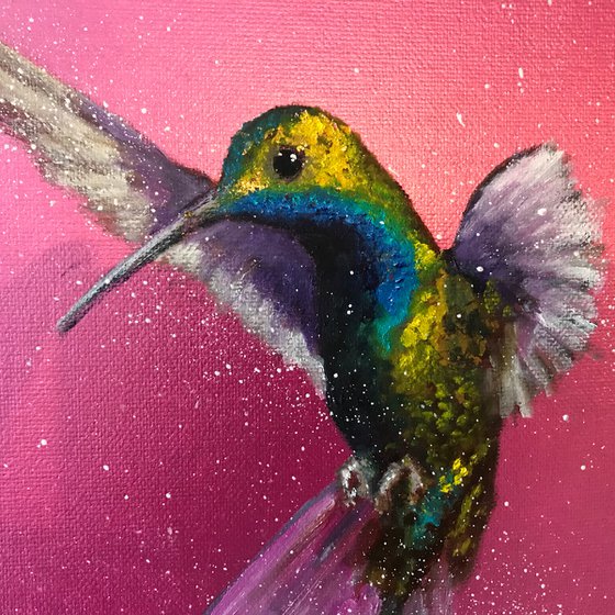 Green-breasted Mango Hummingbird ~ on Metallic Pink