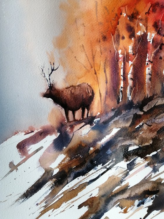 deer 6