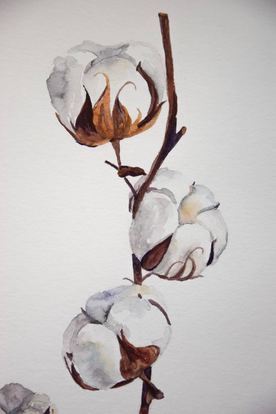 Set of 2 COTTON bolls watercolor paintings, Flowers abstract, Shabby Chic wall art