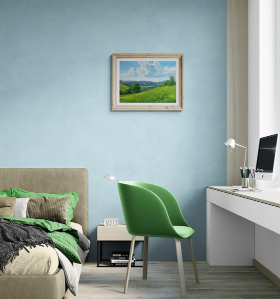 Meadows of early summer