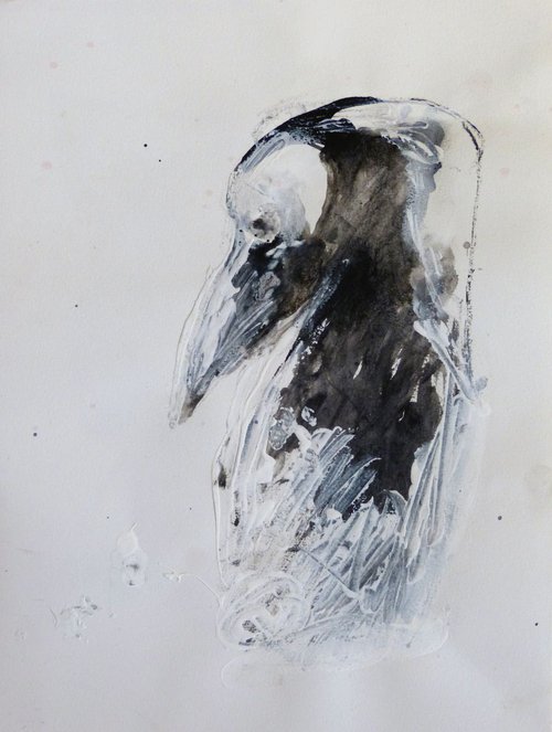 Bird Portrait 3, 24x32 cm by Frederic Belaubre