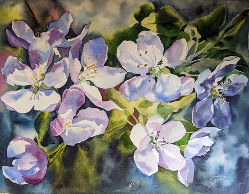 APPLE FLOWERS#3 by Yuryy Pashkov