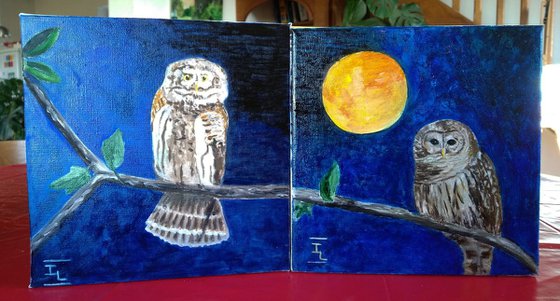 2 owls for a diptych