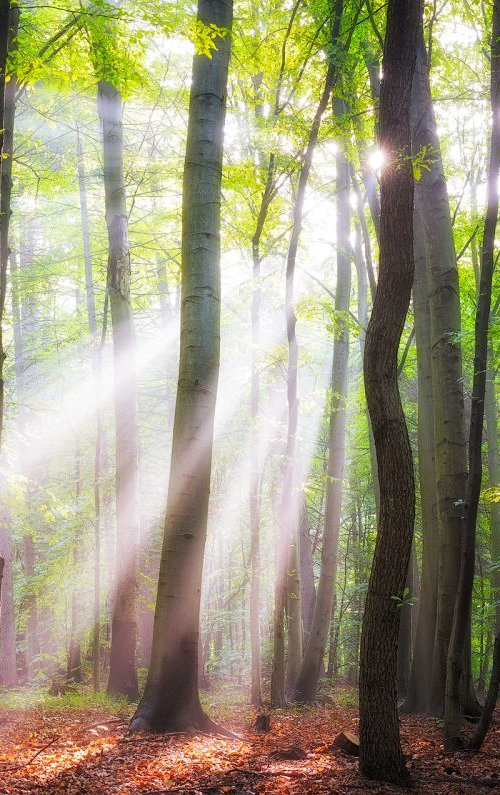 When the sun shine on your way by Janek Sedlar