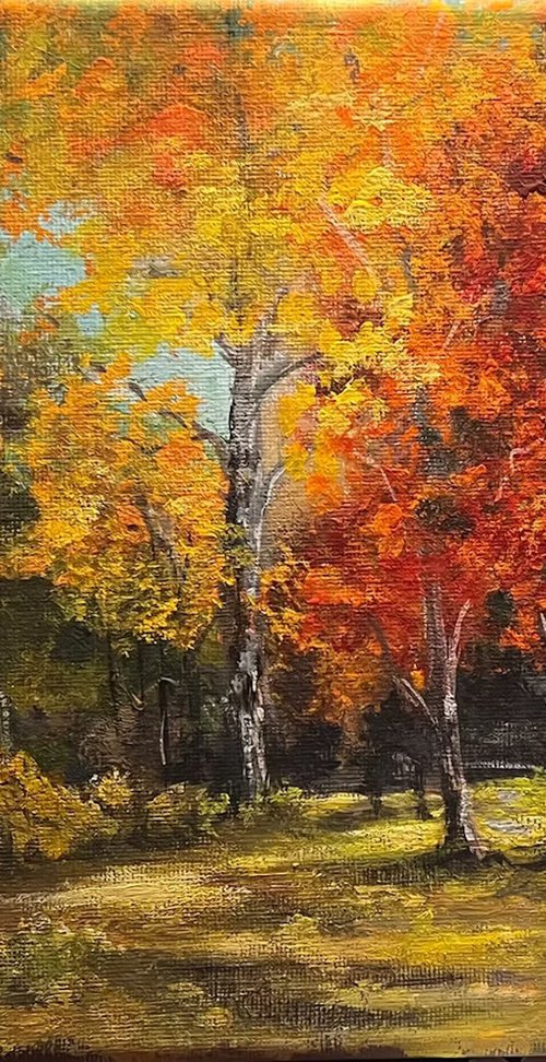 A New View by Carolyn Shoemaker (Soma)