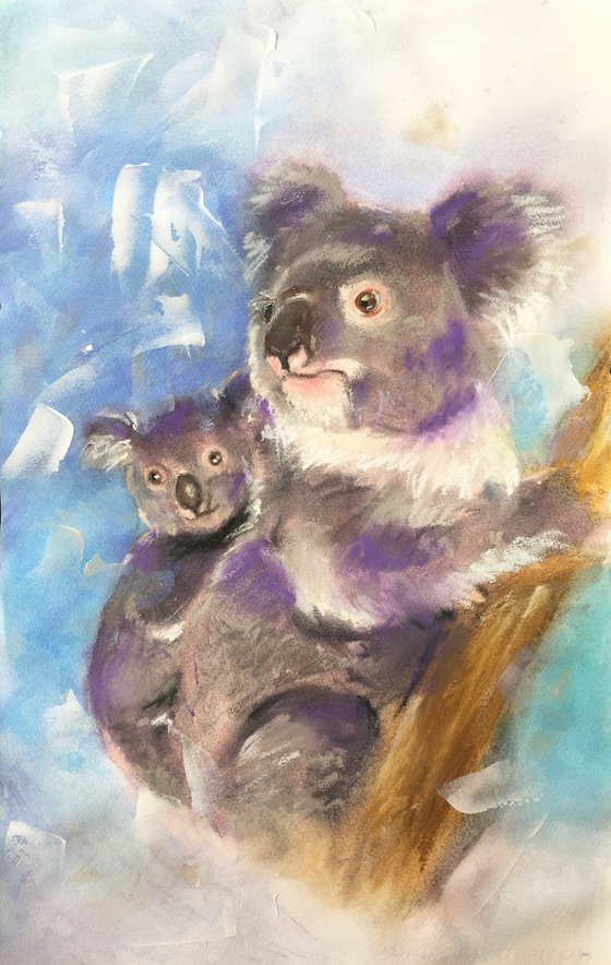 Koala family