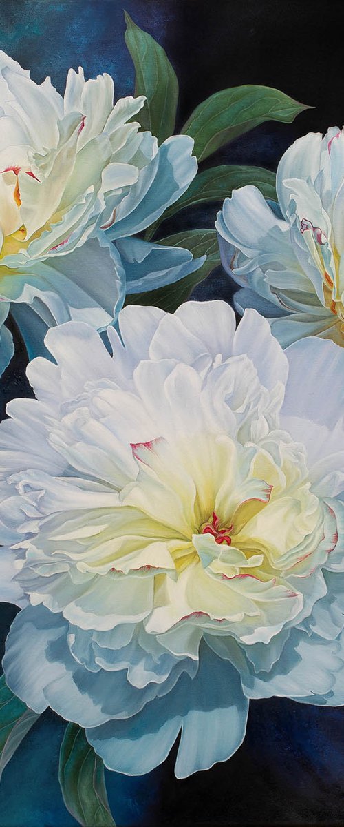 Magic of peonies by Anna Steshenko
