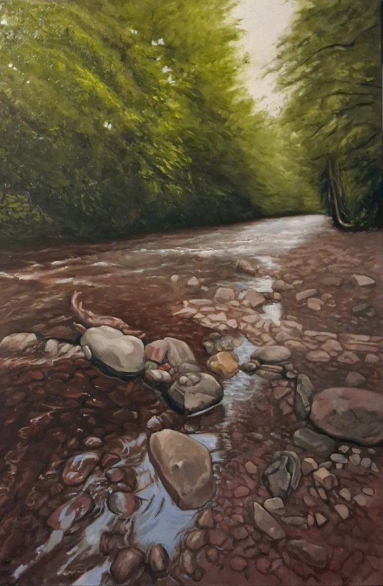 The Riverbank (River Taff)