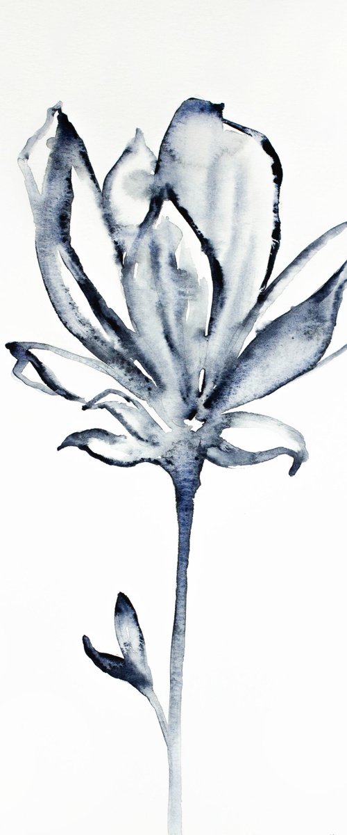 Magnolia No. 34 by Elizabeth Becker