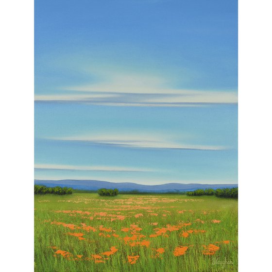 Blue Sky Poppy Field - Flower Field Landscape