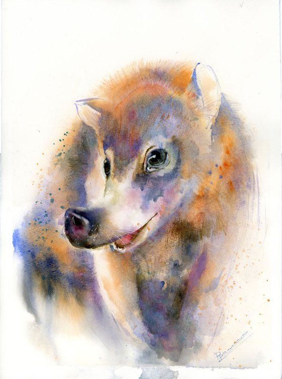 White nosed coati portrait