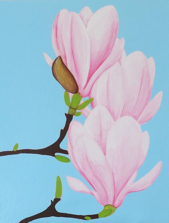 Tulip Magnolia Trio