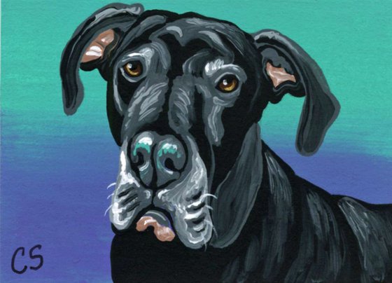 ACEO ATC Original Painting Great Dane Pet Dog Art-Carla Smale