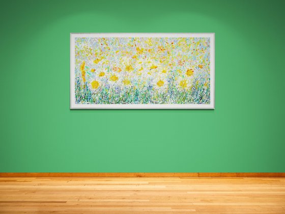 Wild Daisy Meadow 2025