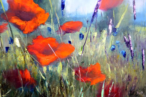 Poppy meadow