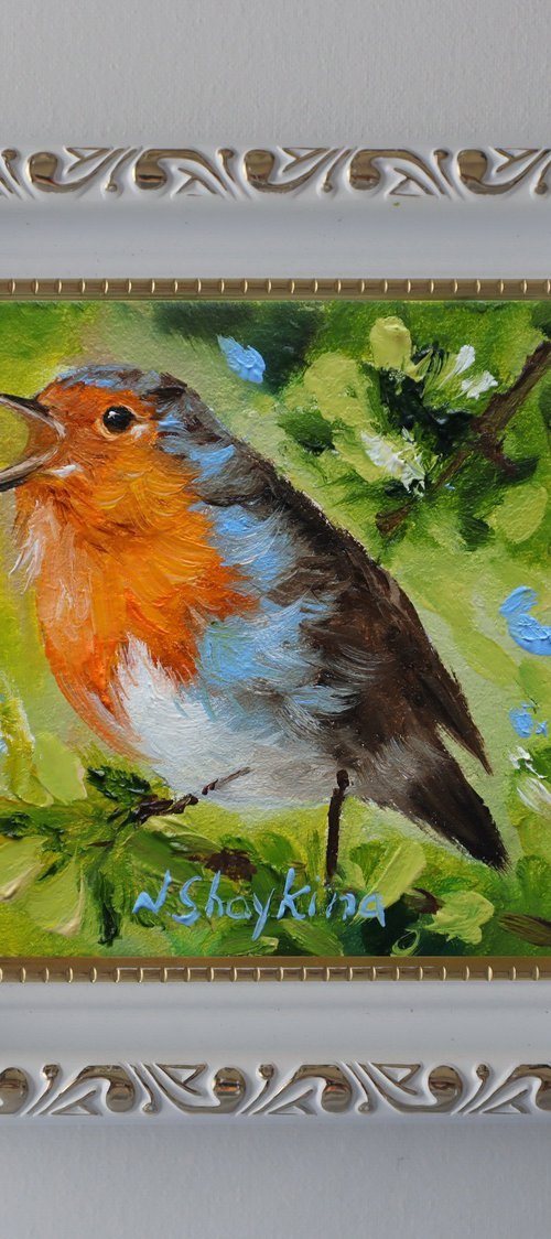 Spring Robin Bird by Natalia Shaykina