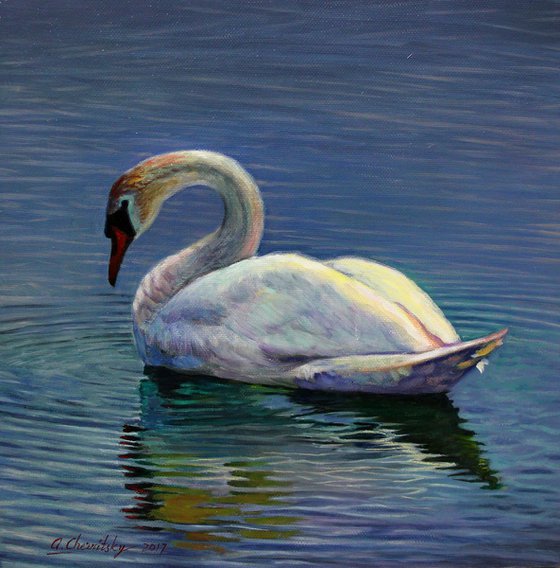 "Swan"