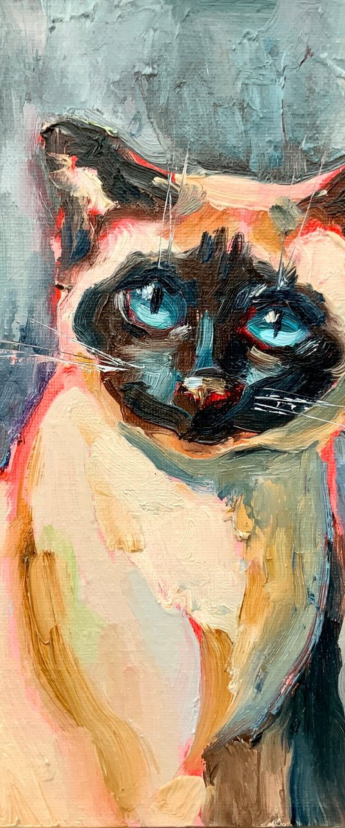 Siamese Cat with Azure Eyes by Alexandra Jagoda (Ovcharenko)