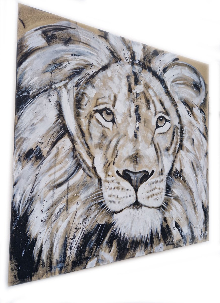 Lion #25 - Series Big Cat By Stefanie Rogge, 39 X 39, Artwork For Sale On Artfinder