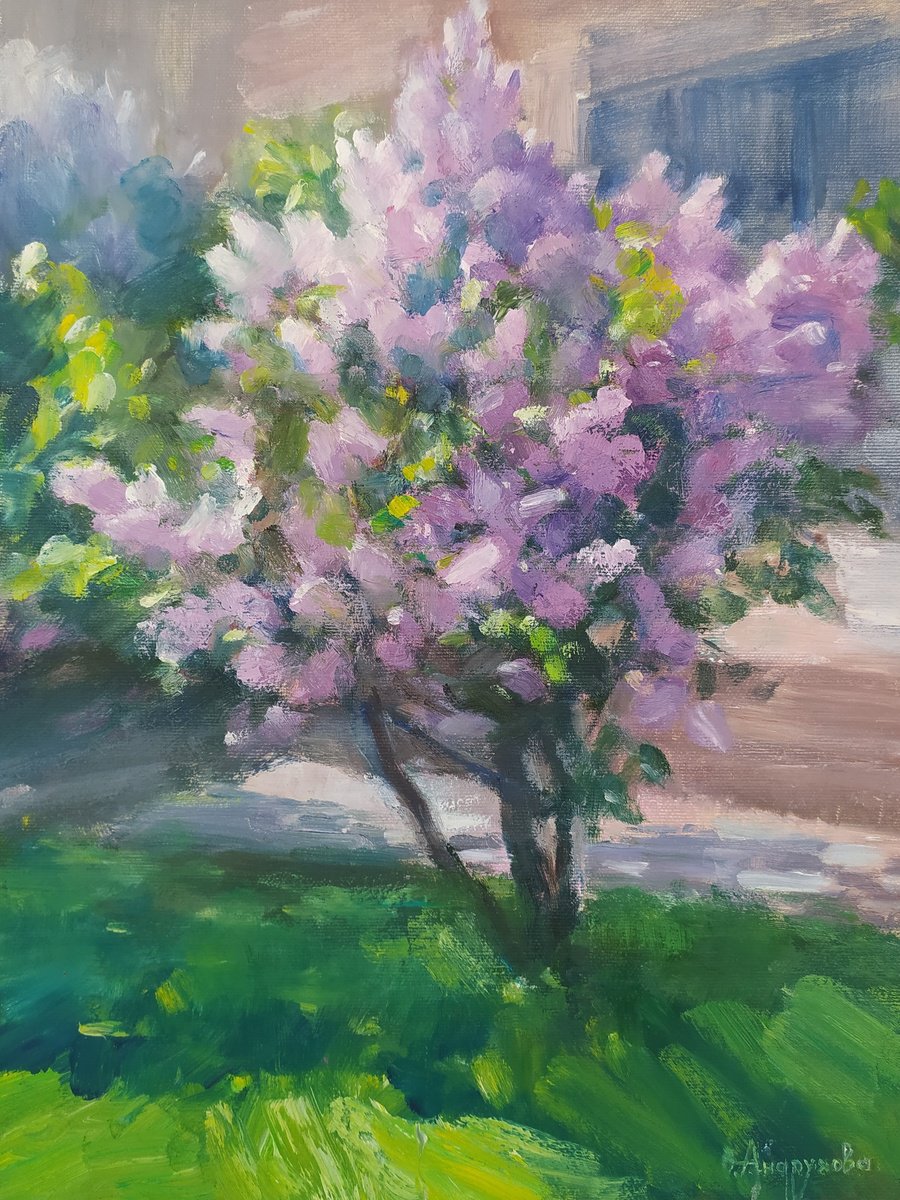 Impressionistic Botanical Oil Painting By Valentina Andrukhova, 12 X 16", Kharkiv Lilac, Original Artwork