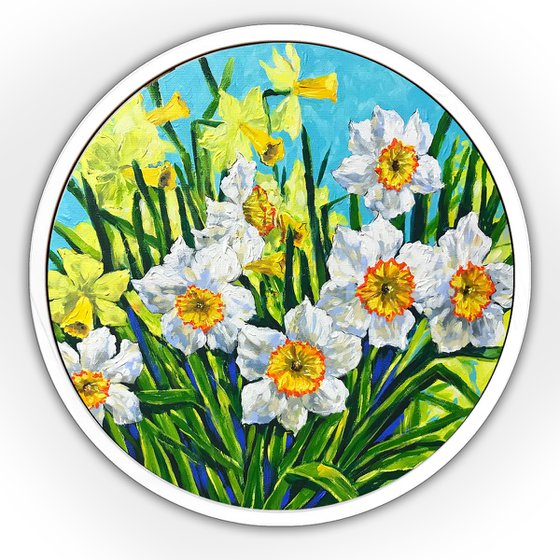 Spring spirit – Daffodils