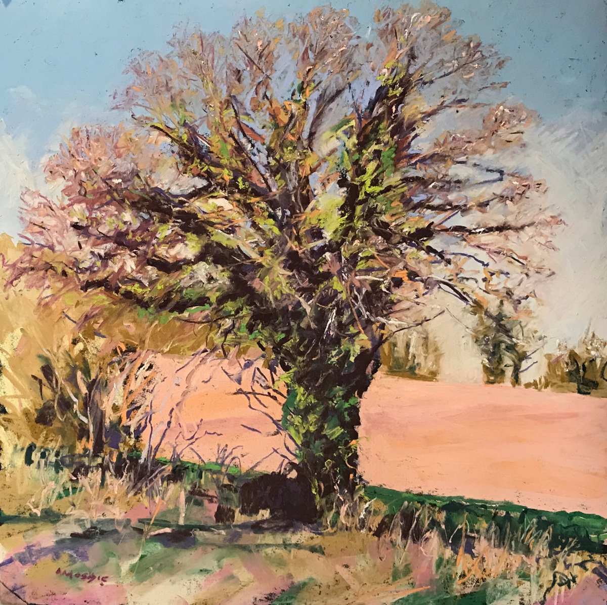 Tree Study by Andrew Moodie