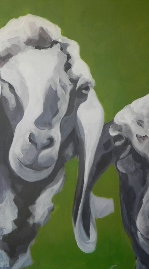 Loser-Sheep by Karin Lichtenegger