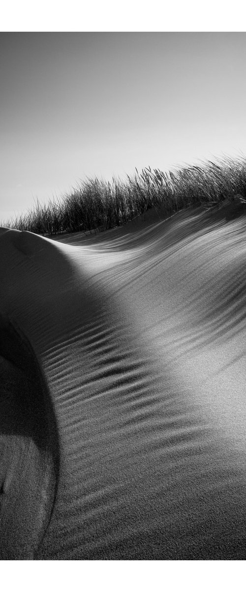 September Days - Grass I by David Baker