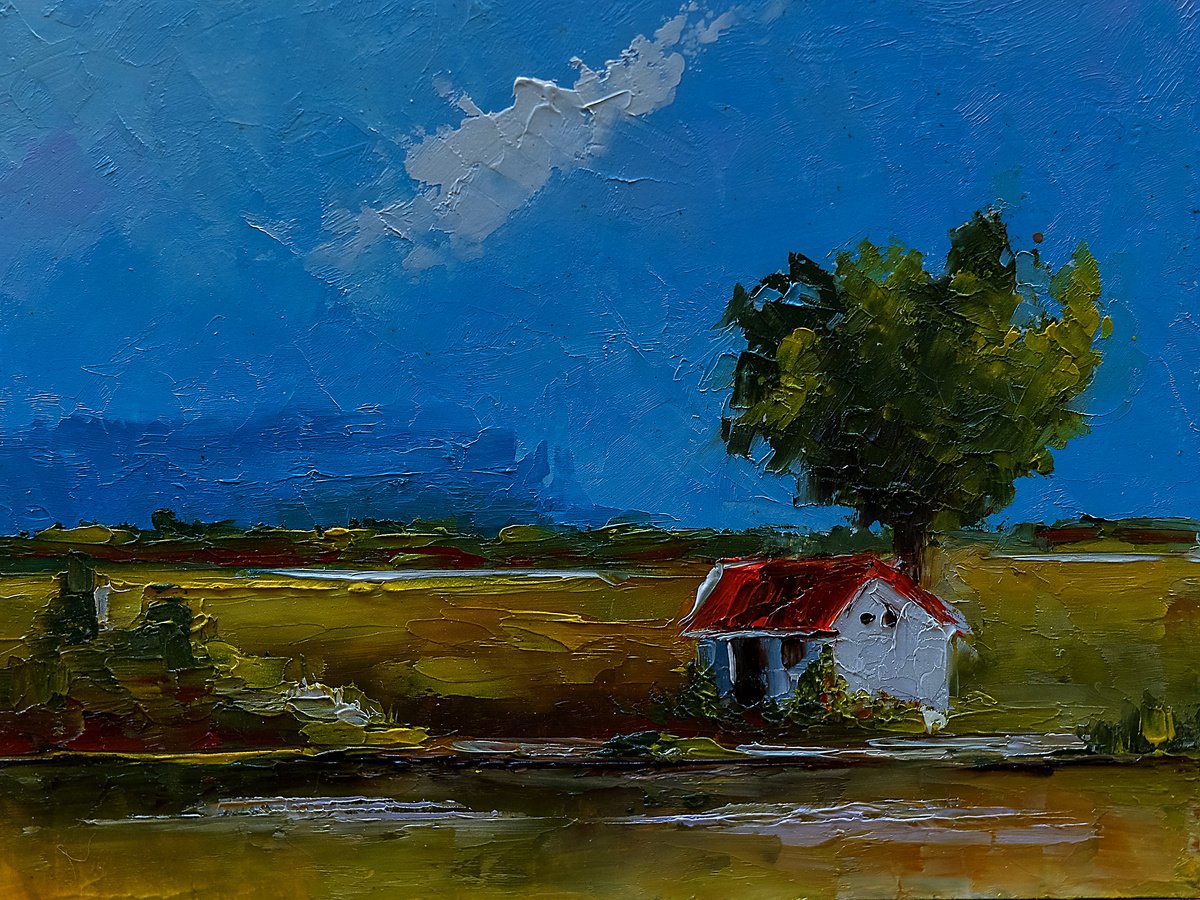 Small house in field by Marinko Saric