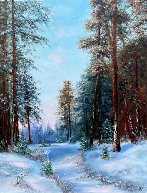 Winters Forest way by Tanja Frost