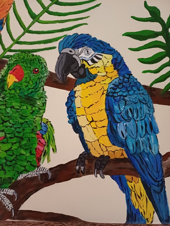 Parrots