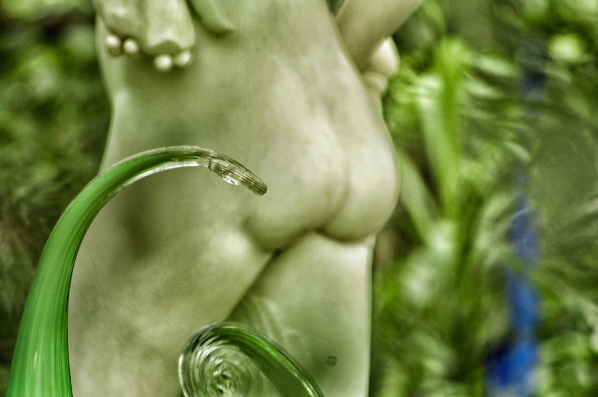 Abstract Botanical Photograph By Marc Ehrenbold, 40 X 30", Flora & Fauna, Original Artwork