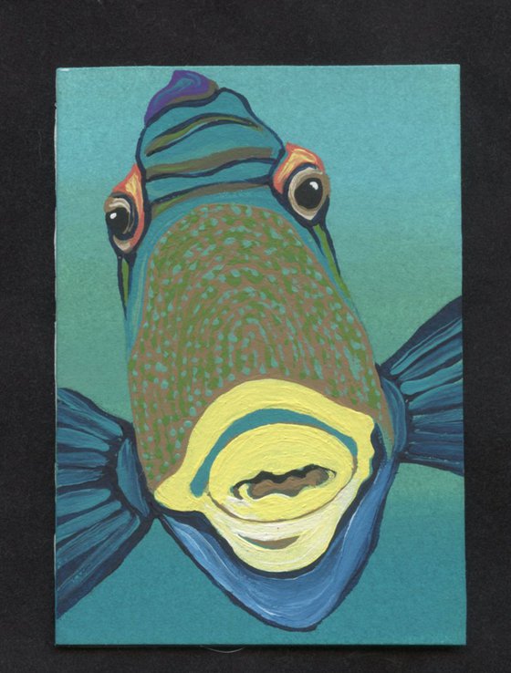 ACEO ATC Original Painting Wildlife Trigger Fish Ocean Art-Carla Smale