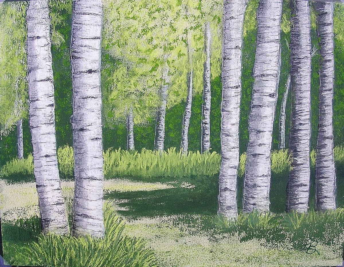 Birch Trees by Linda Burnett