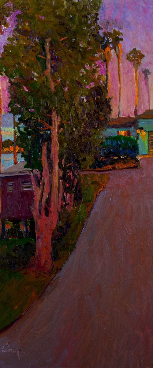 Dusk. Driveway in California by Suren Nersisyan