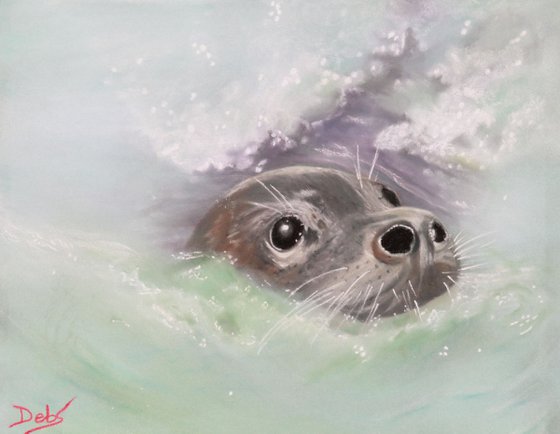 Mr Seal