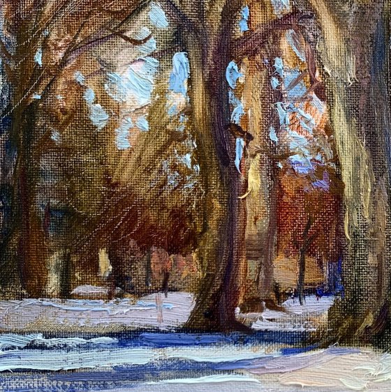 A sunny winter afternoon