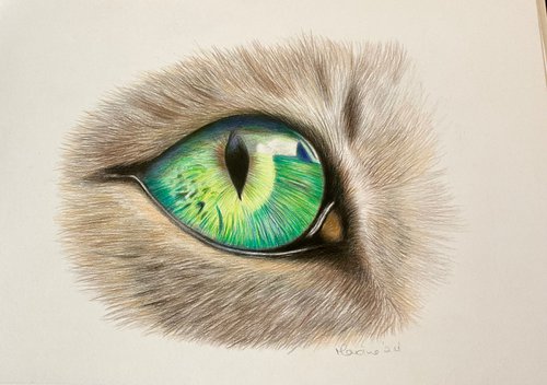 Cats eye by Maxine Taylor