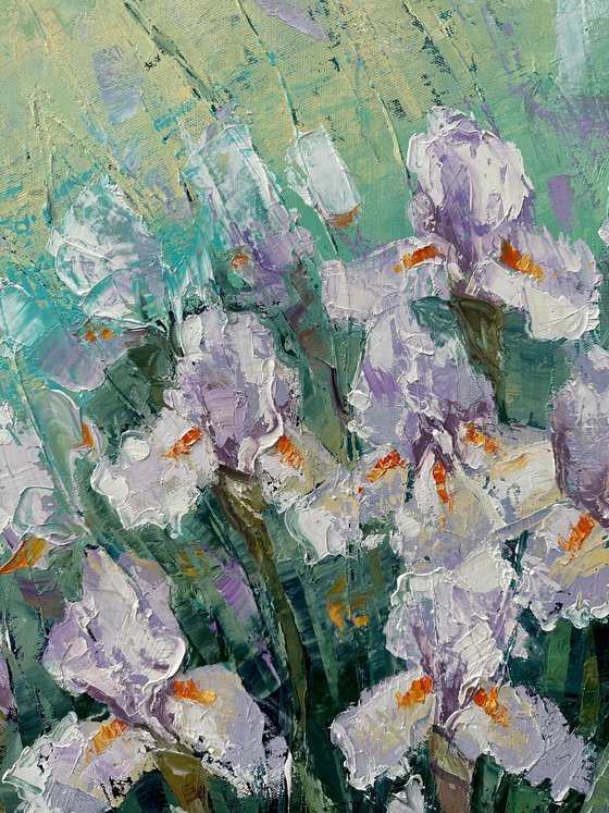 Irises 70x80cm