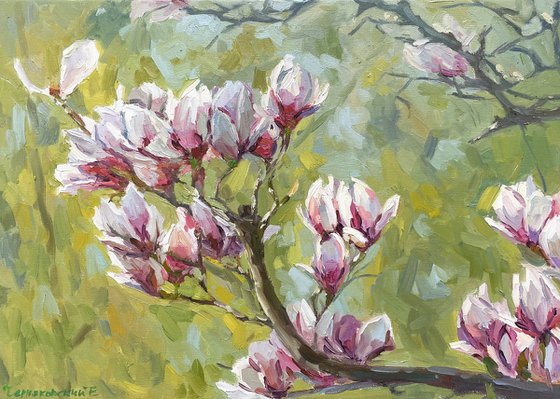 magnolia branch