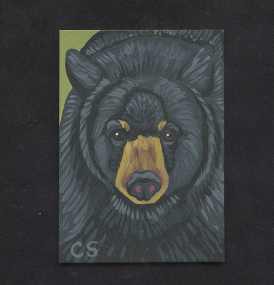 ACEO ATC Original Miniature Painting Black Bear Wildlife Art-Carla Smale