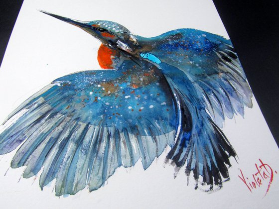 The Kingfisher 1