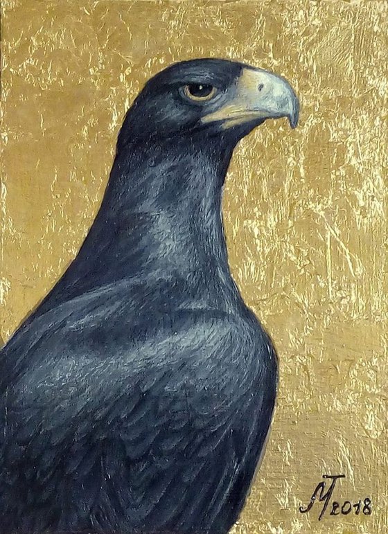 "Black Eagle Verro."