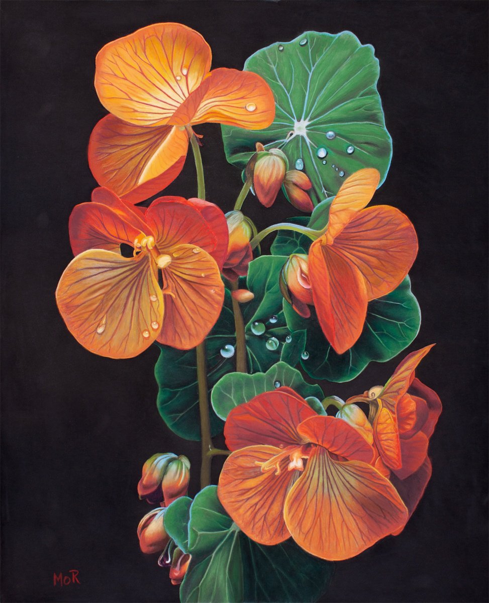 Photorealistic Still Life Pastel Drawing By Dietrich Moravec, 20 X 24, Nasturtium In Bloom, Original Artwork