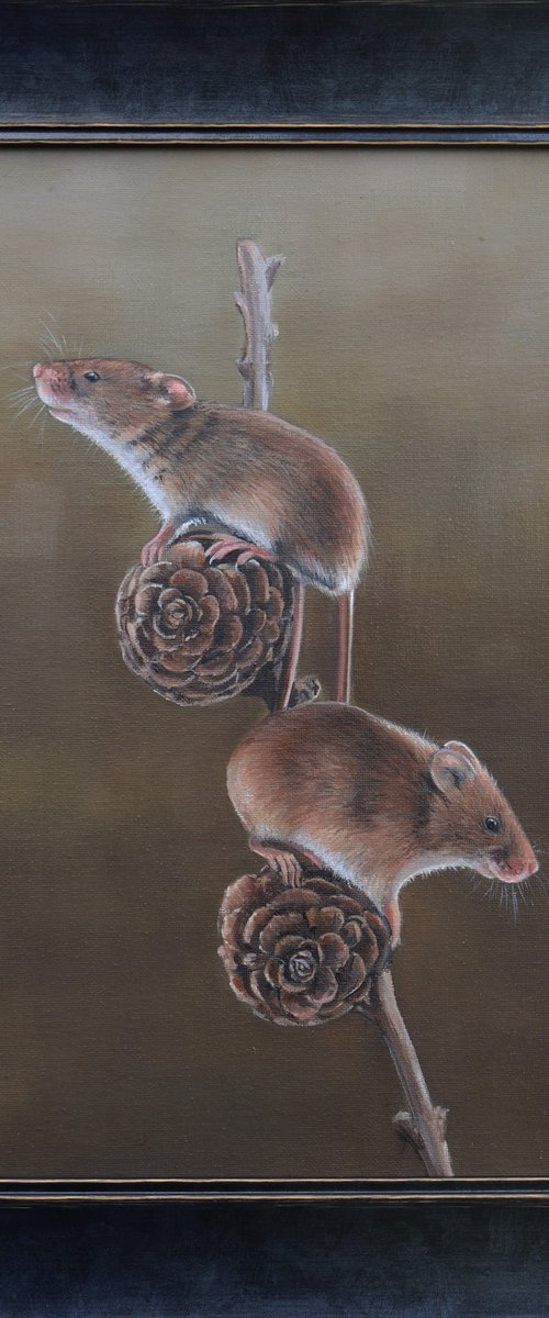 Mice on Pine Cones by Alex Jabore